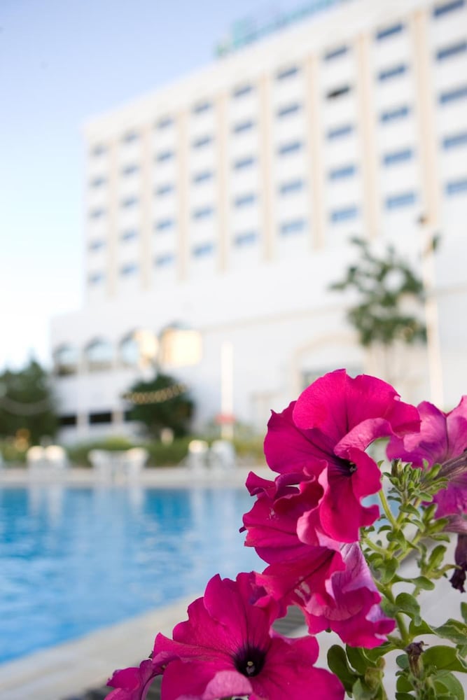 Muscat Holiday 36/41