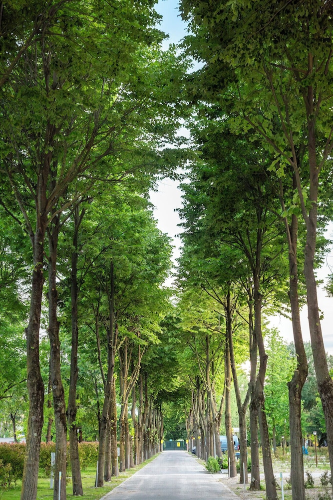 surroundings