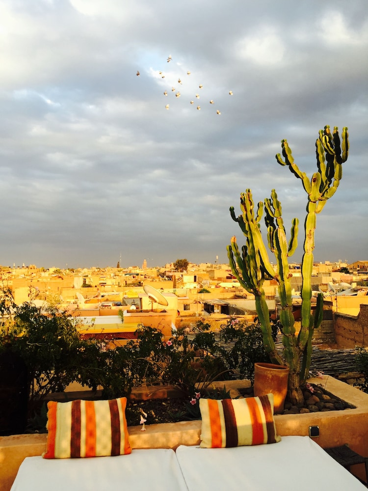 Riad 144 40/50