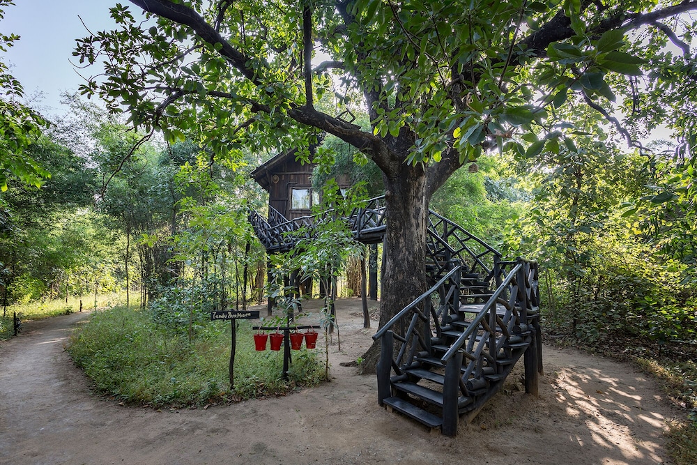 TREE HOUSE HIDEAWAY 34/50