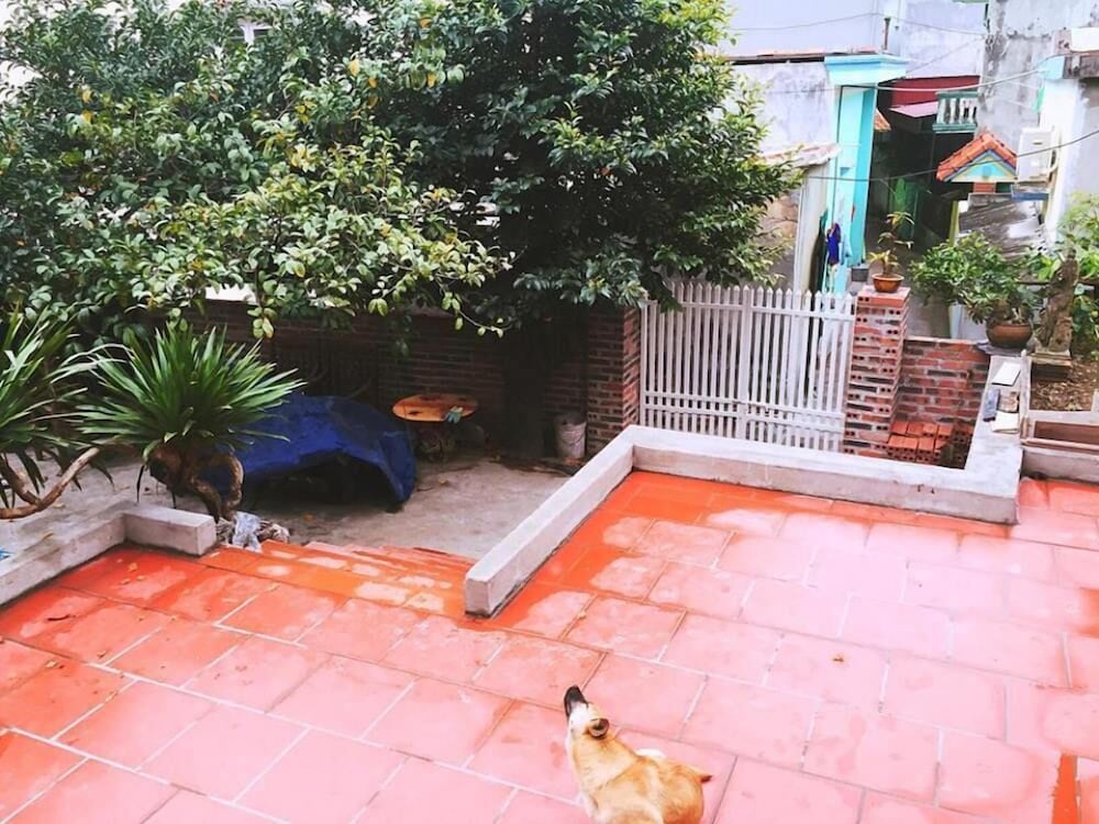 D'home Homestay Cat Ba 13/23