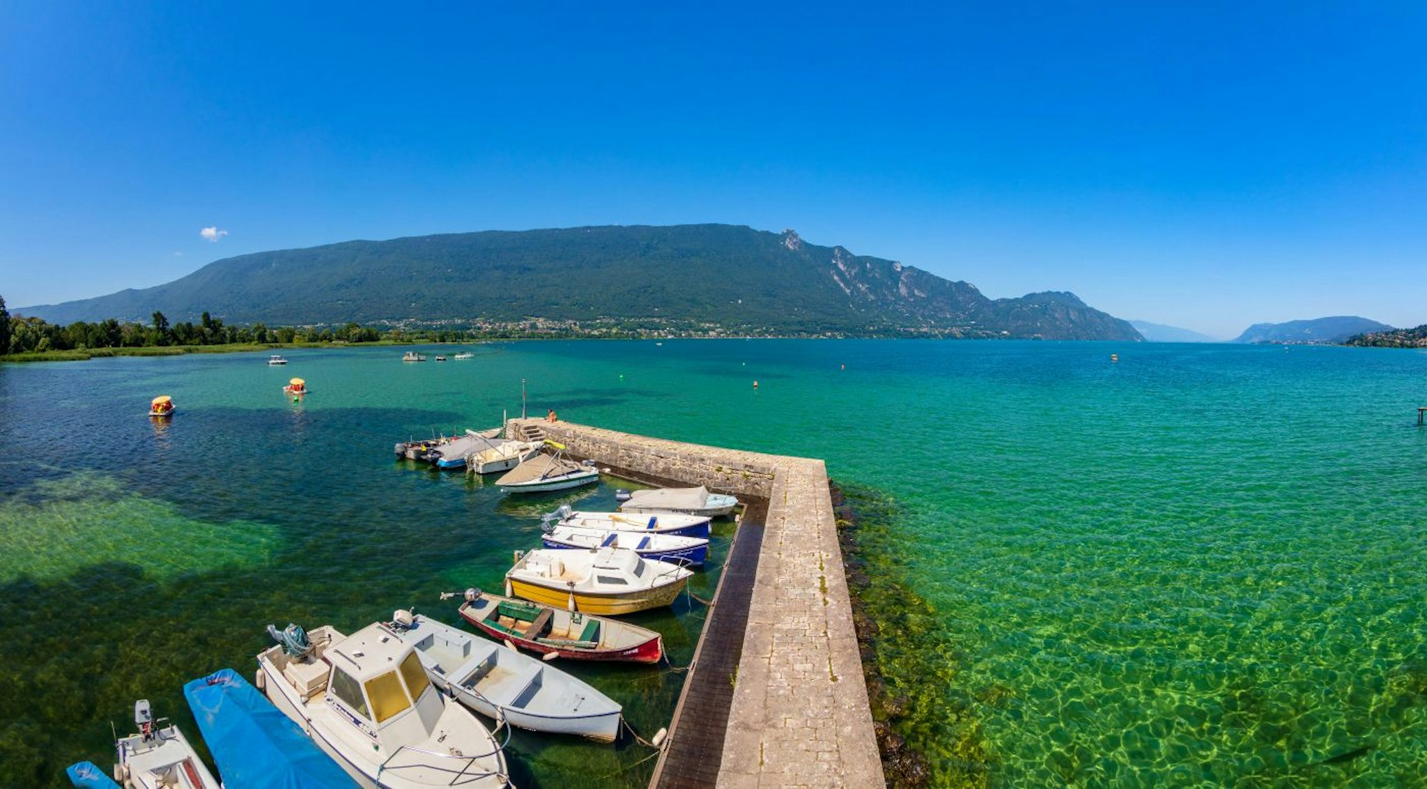 Noemys Viviers Du Lac 12/17
