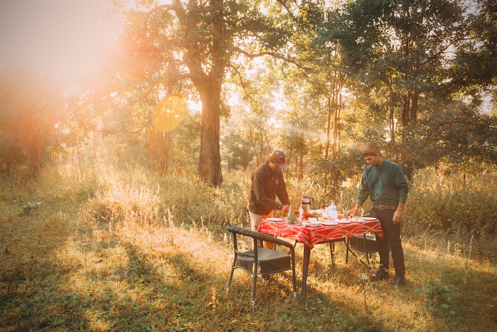 Pench Jungle Camp 31/71