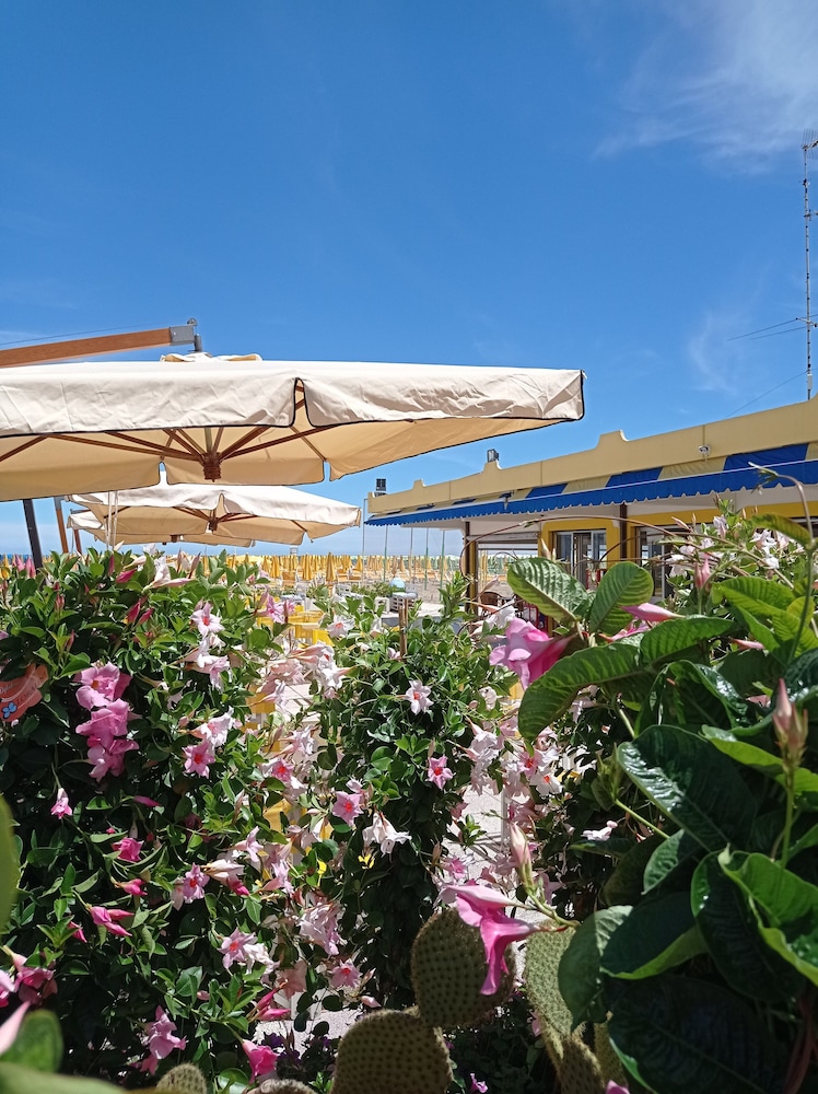 Club Hotel Dante Cervia in CERVIA