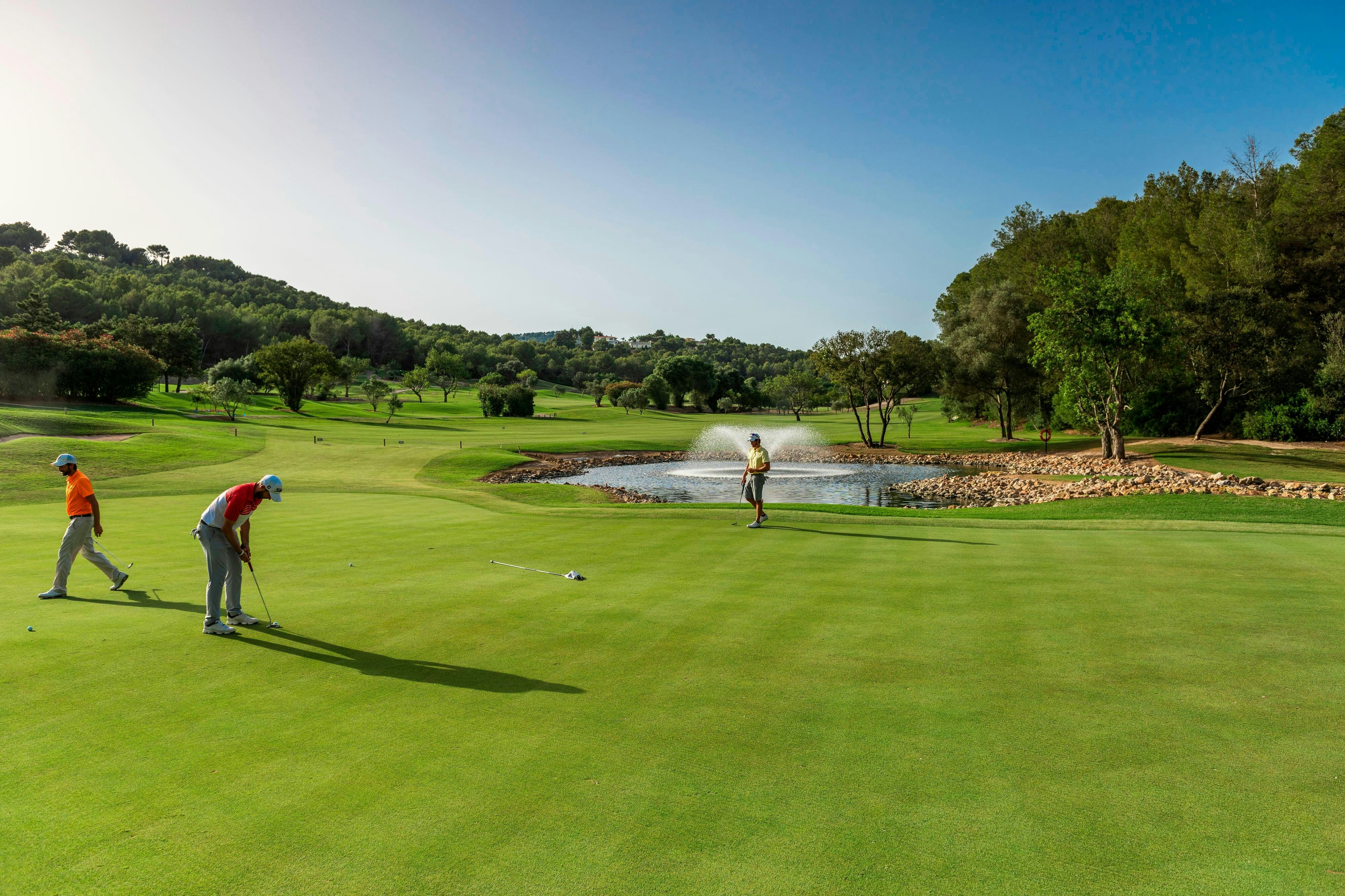 Sheraton Mallorca Arabella Golf Hotel 43/83