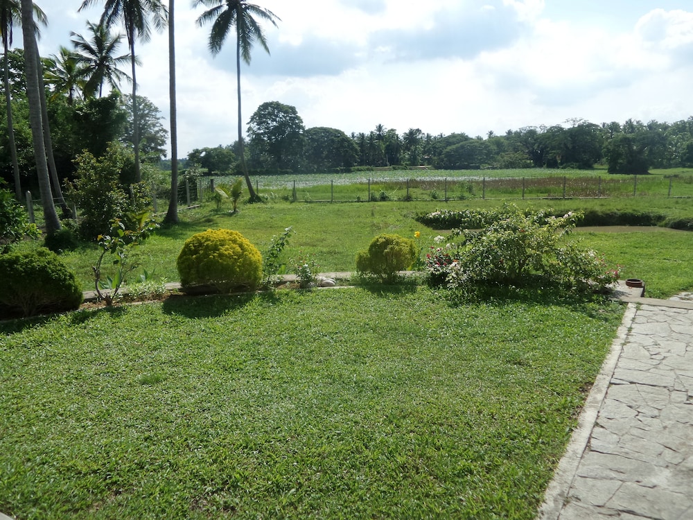 Cocoworld Bungalow 43/50