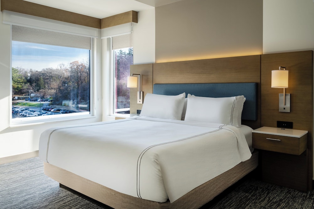 جناح بسريرين كينج بغرفتي نوم، Even Hotel Rochester Mayo Clinic Area 3/10