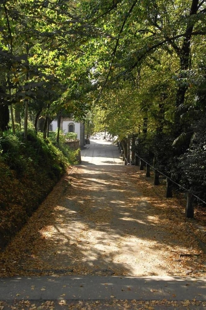 surroundings