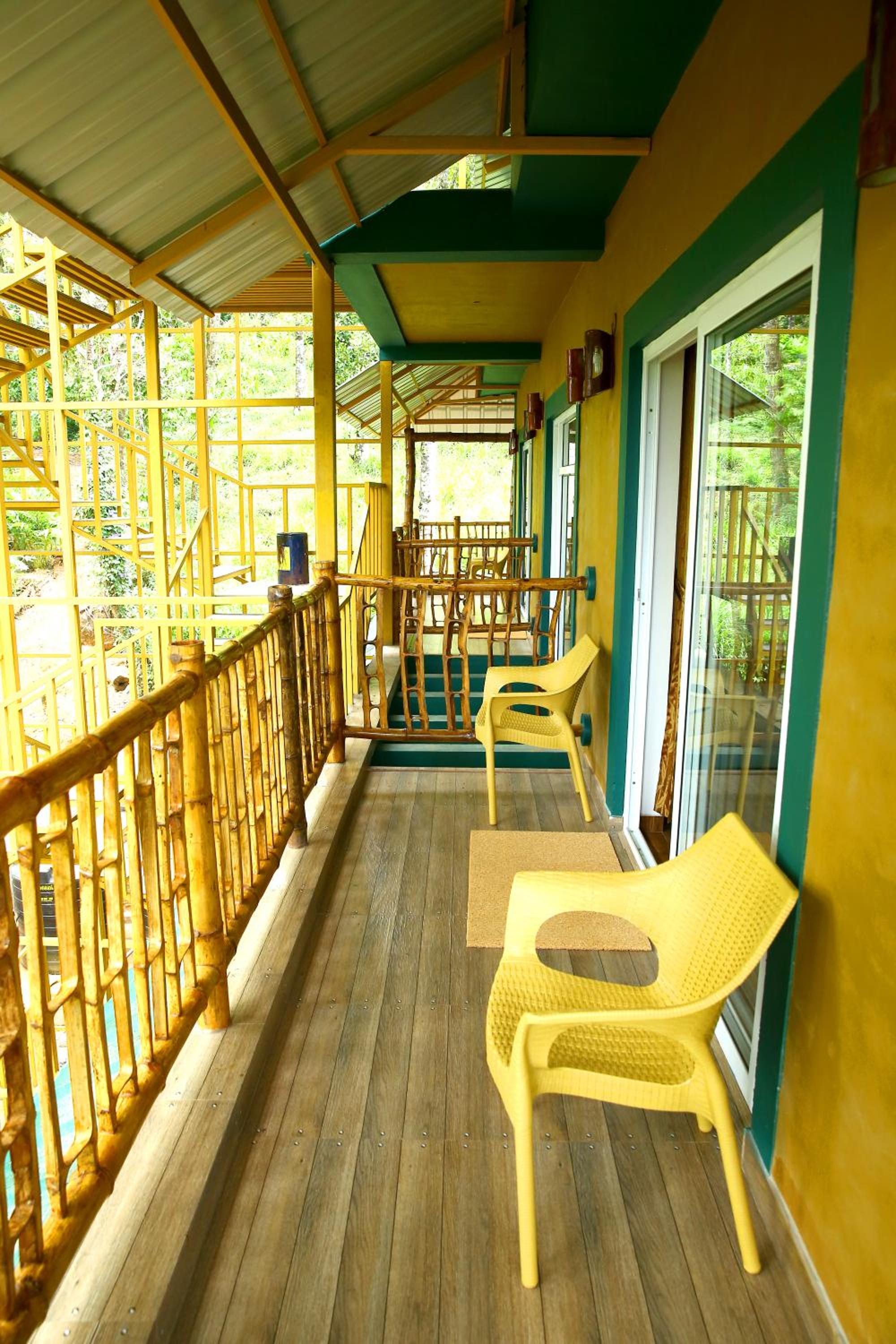 Bamboodale 31/57
