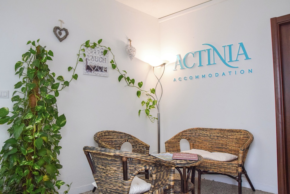 B&B Actinia 24/41