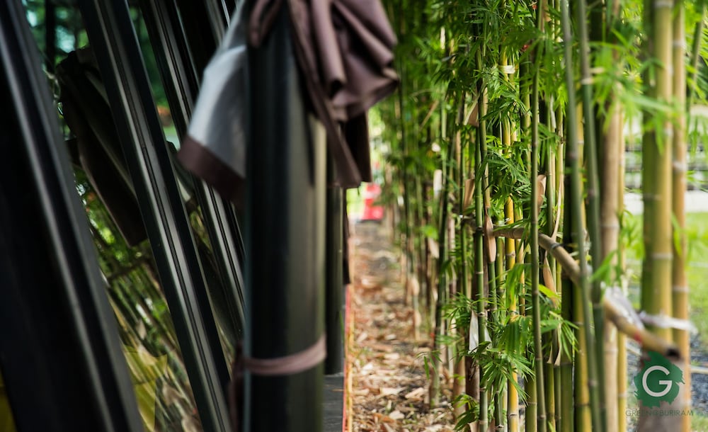 Green At Buriram 45/50