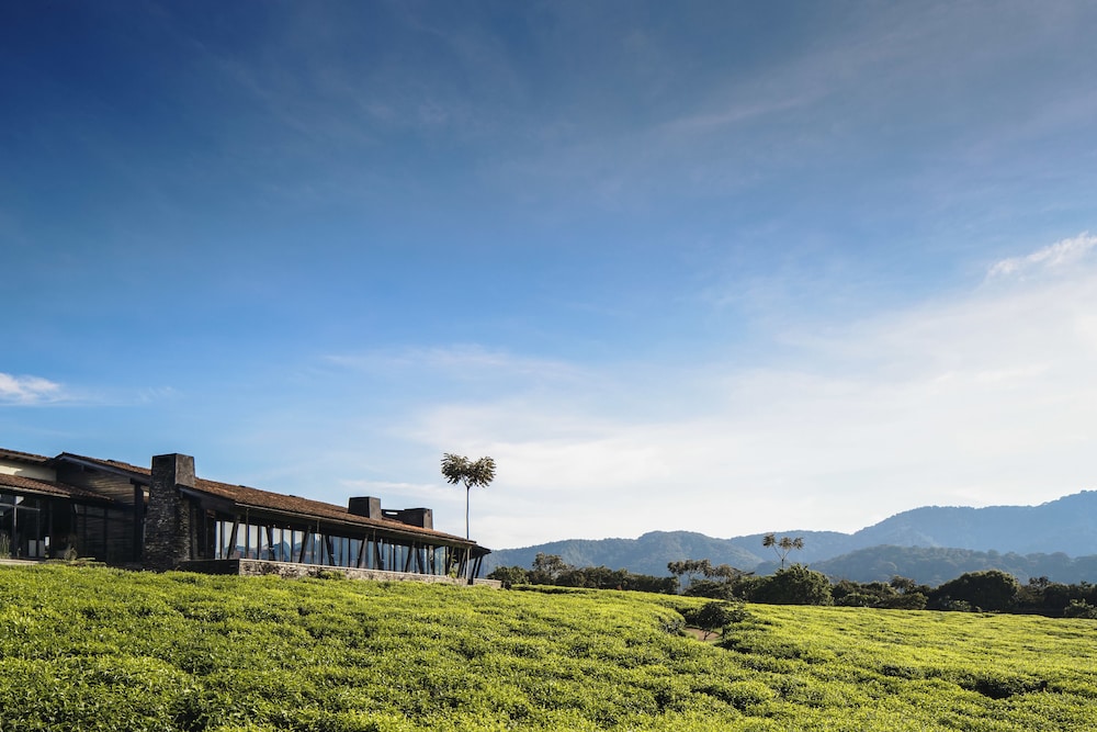 Nyungwe Tea Forest Resort 60/71