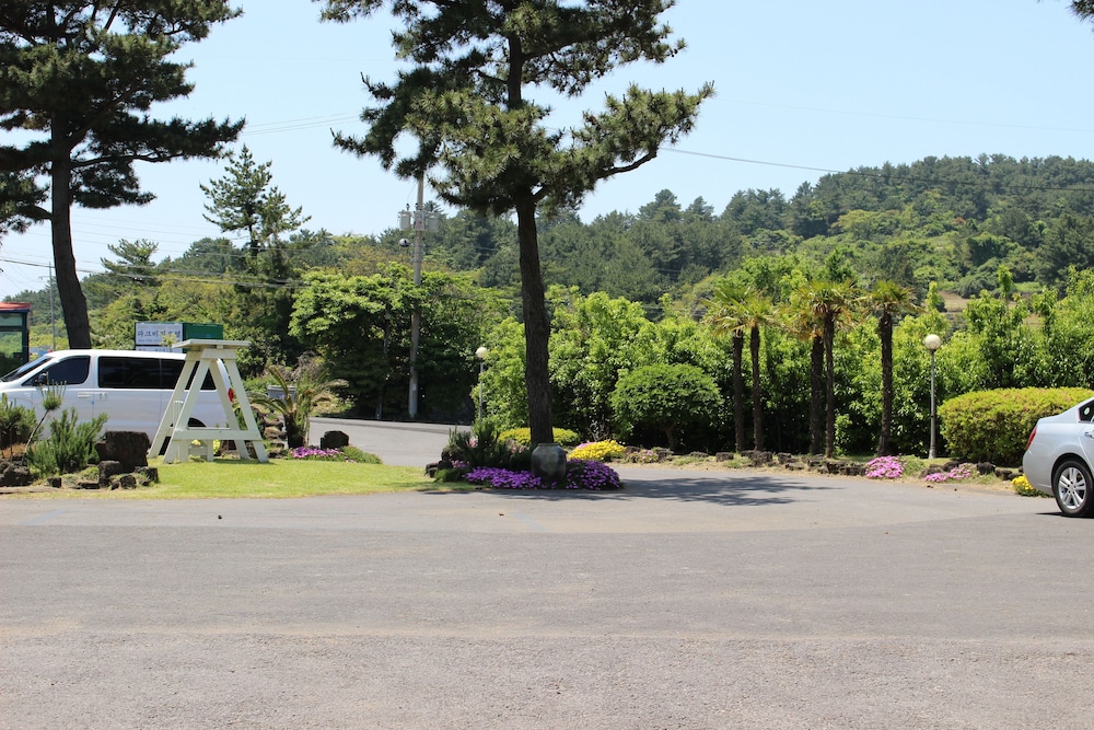 Jeju Feel House 24/50