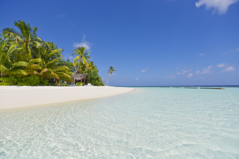 Safari Island Resort 49/58