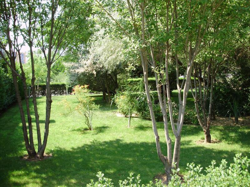 Hotel Dunav- All Inclusive 43/50