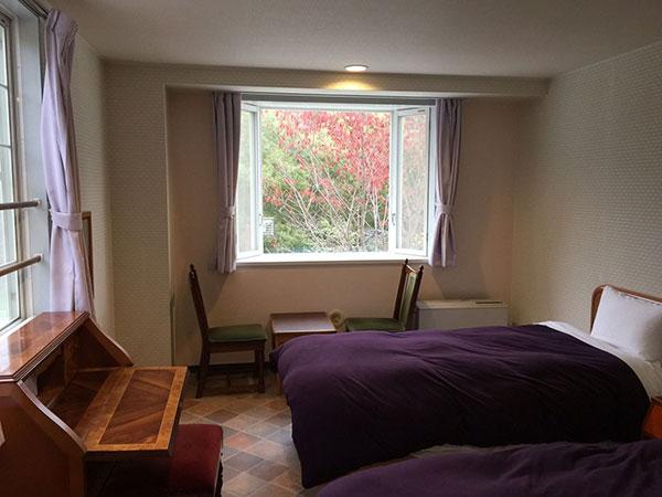 Deluxe, Twin Beds, Mountain View, Unit Bath