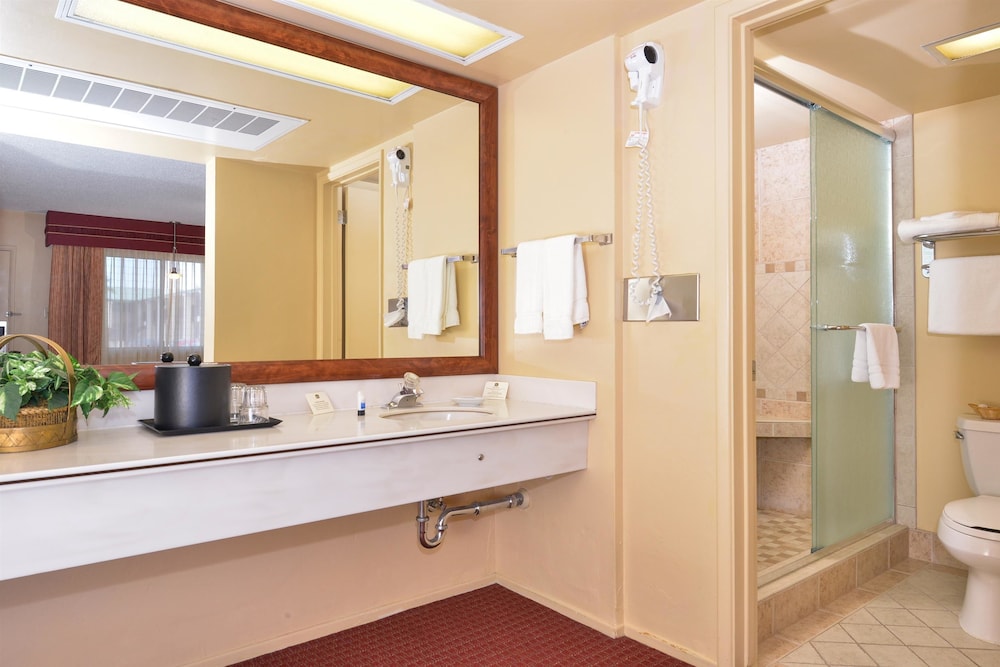 Best Western Plus King's Inn & Suites 8/37