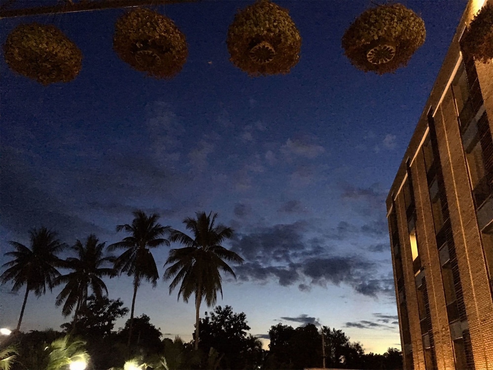 The Coconut Hotel 48/52