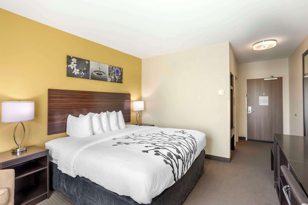 Standard, King Bed