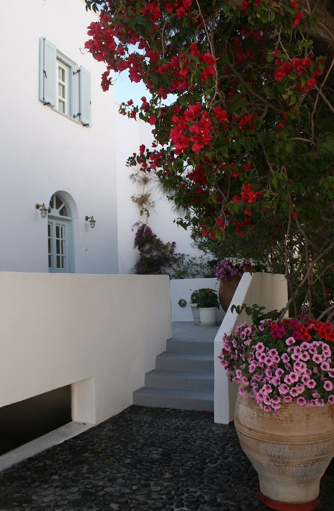 Zorzis Hotel 35/50