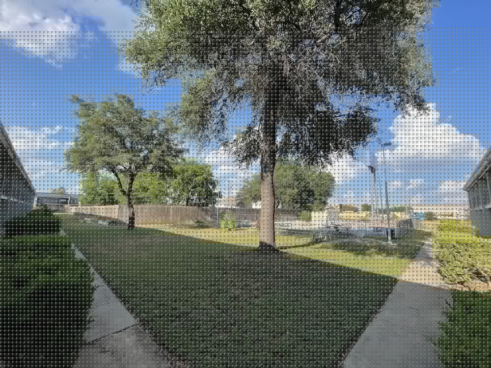 Mid Towne Inn Suites San Antonio 40/43