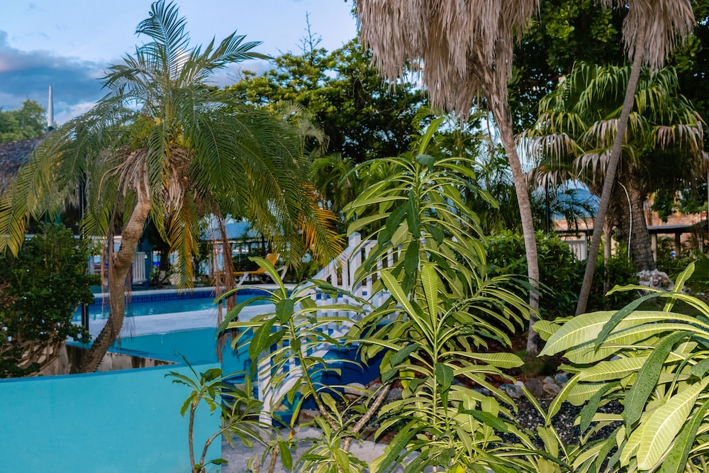 The Grand Port Royal Hotel Ex Morgans Harbour Hotel Marina Port Royal 49/55