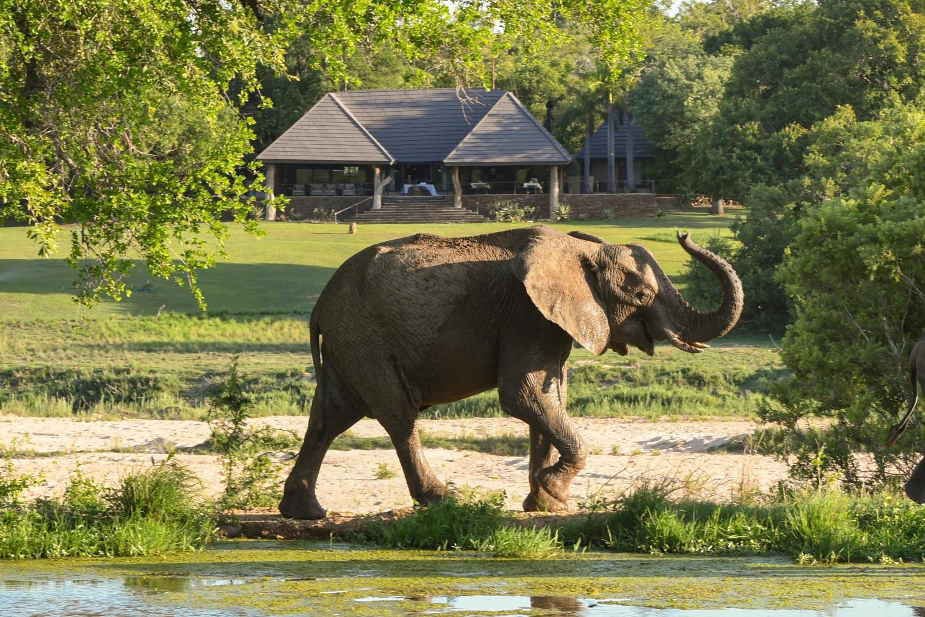 Inyati Game Lodge 52/63