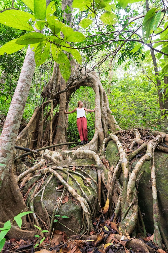 VYTHIRI RESORT 41/55
