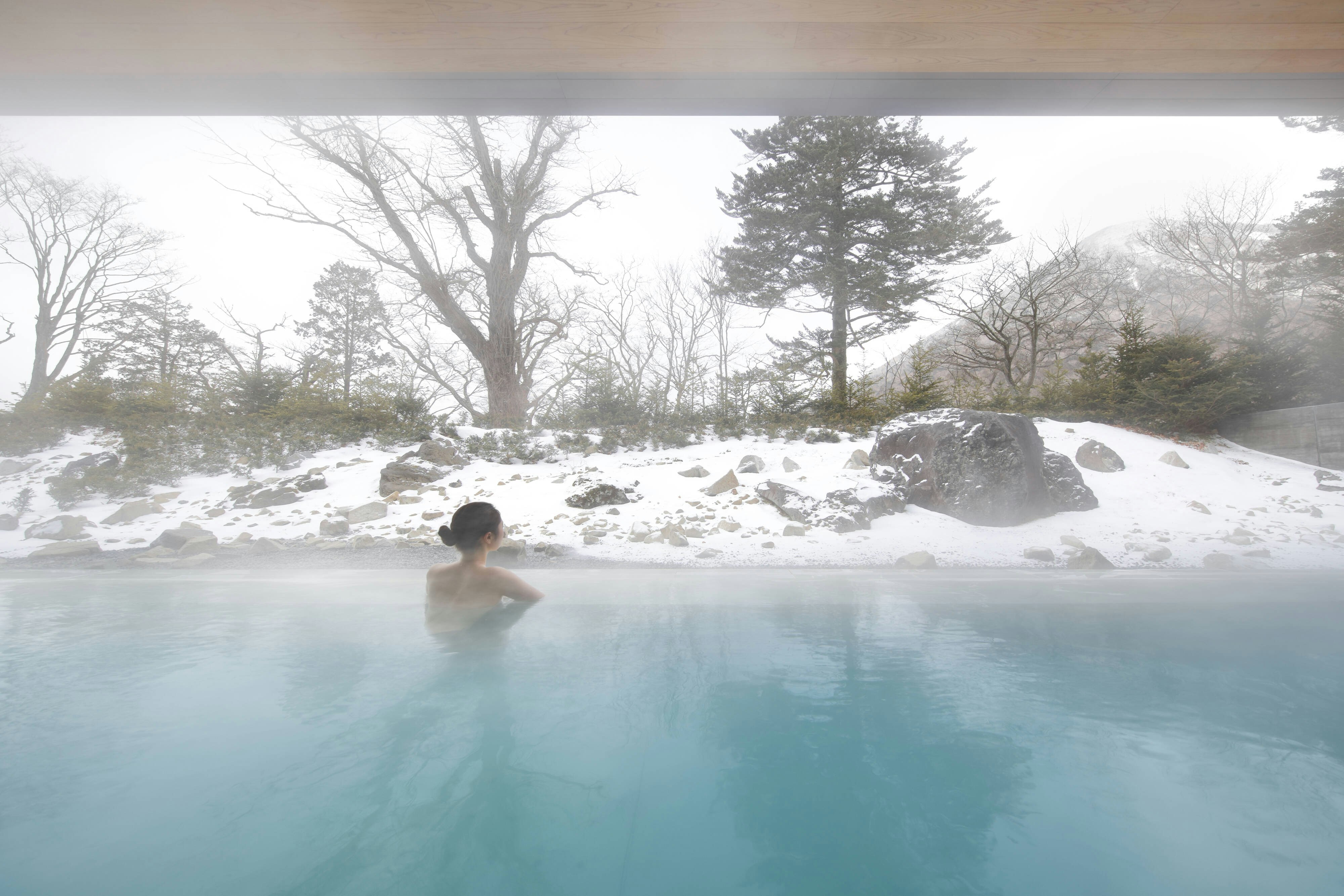 The Ritz-Carlton, Nikko 46/50