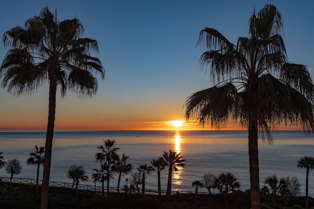 Elba Estepona Gran Hotel and Thalasso Spa 43/50
