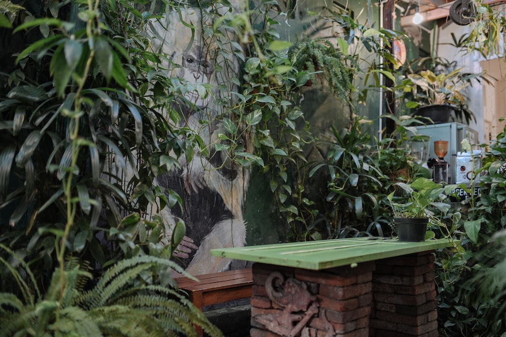 Snooze Guesthouse Yogyakarta - Hostel 45/50