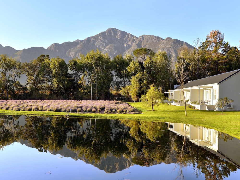 Lavender Farm Guest House 14/31