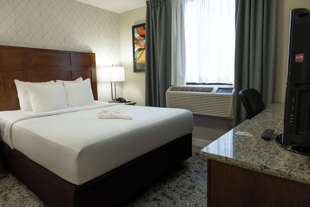 SUITE, QUEEN BED, SOFA