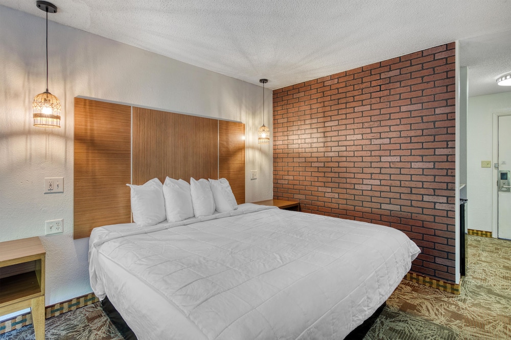 غرفة قياسية بسرير كينج لذوي الإعاقة، SureStay Hotel by Best Western Tuscaloosa Southeast 4/8
