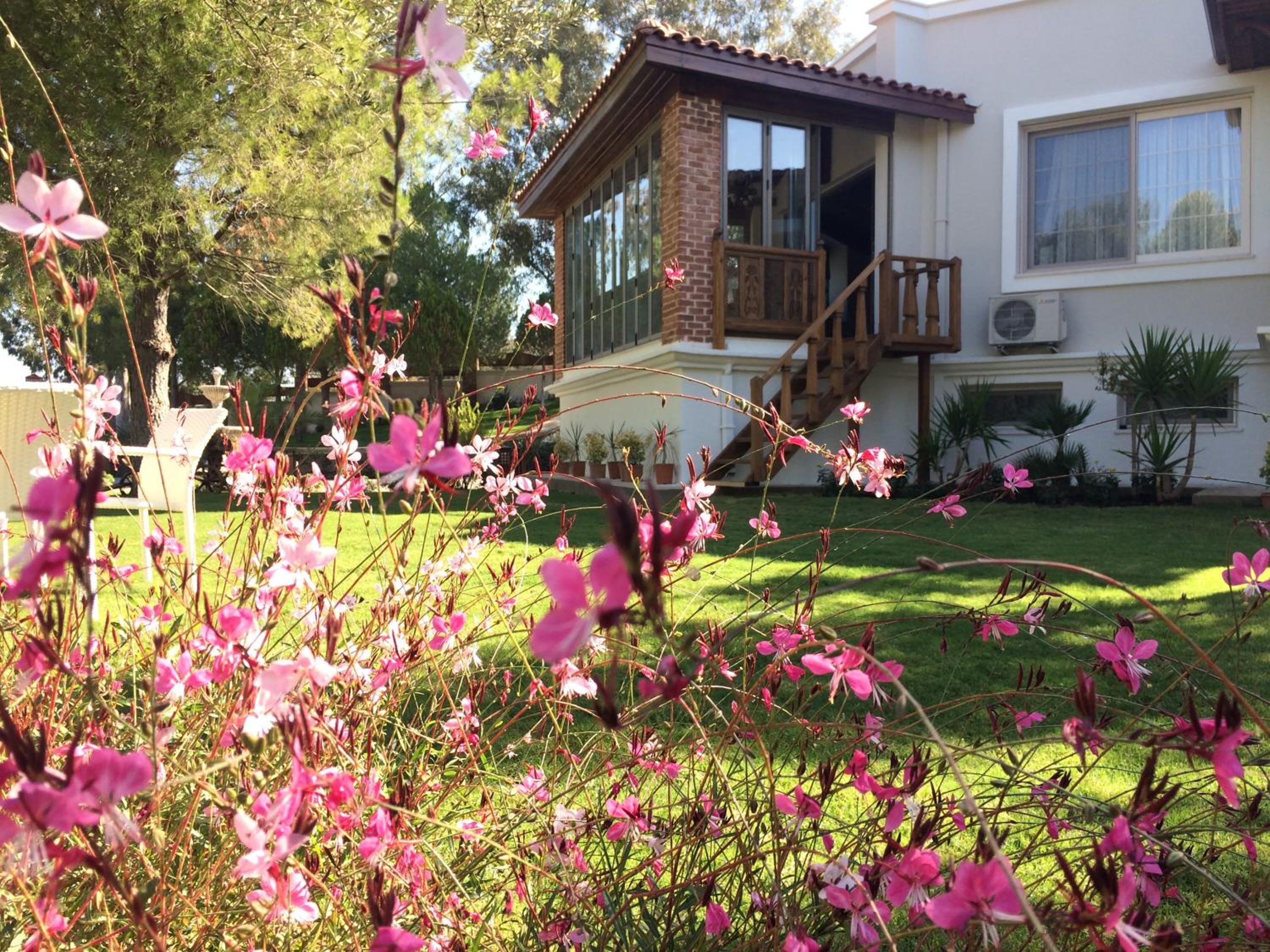Ayse Hanim Konagi Urla (+12 Adult Only) 10/13