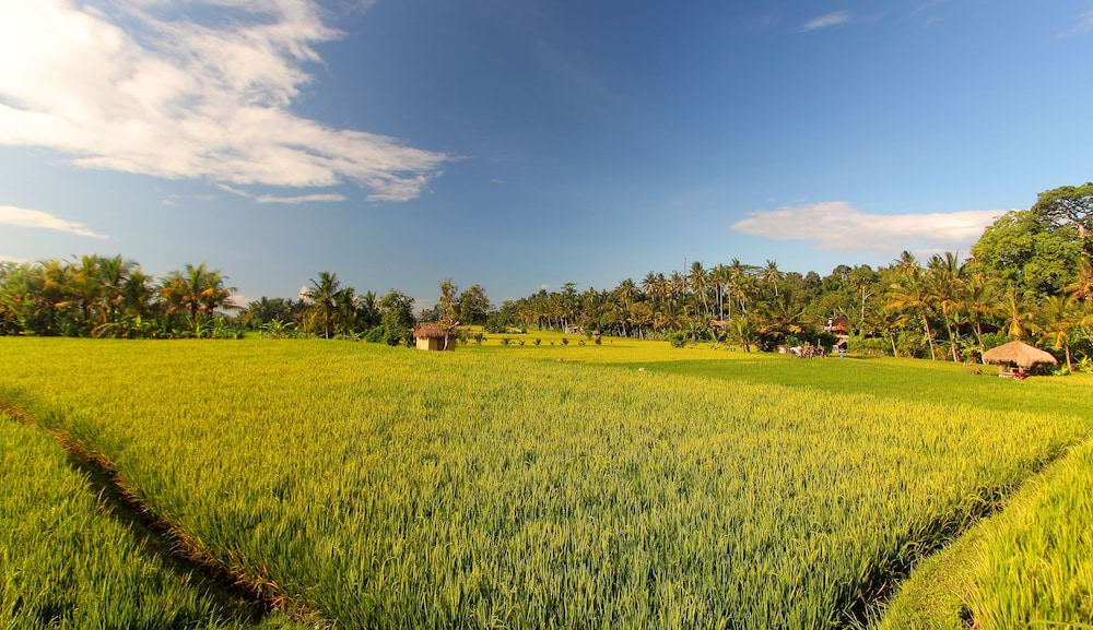 Mathis Retreat Ubud 29/46