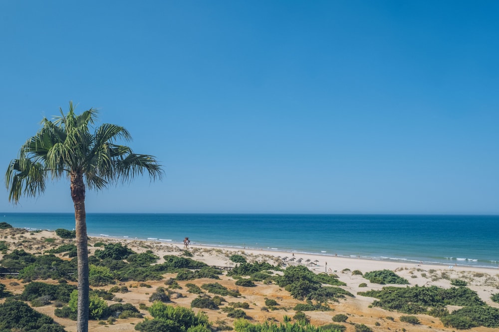 Iberostar Waves Royal Andalus 72/76