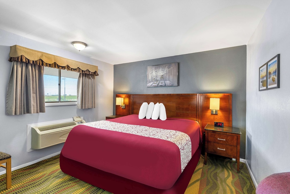 Room, King Bed