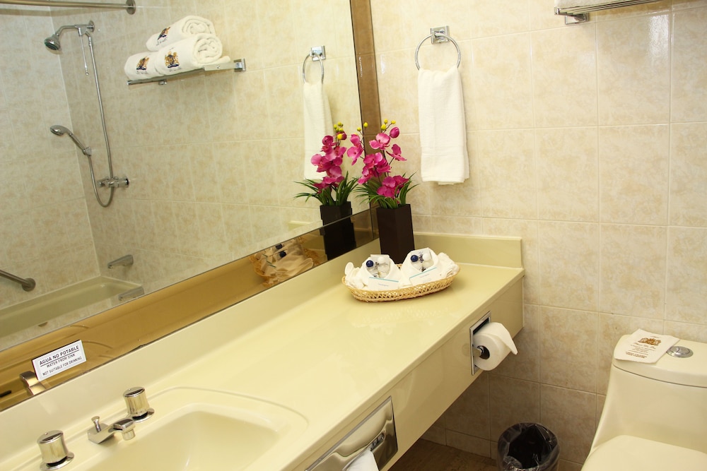 Hotel Plaza de Oro 43/43