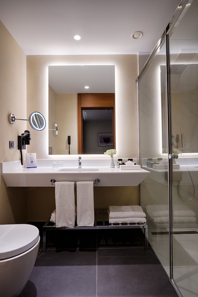 Radisson Blu Hotel Ankara Cankaya 7/56