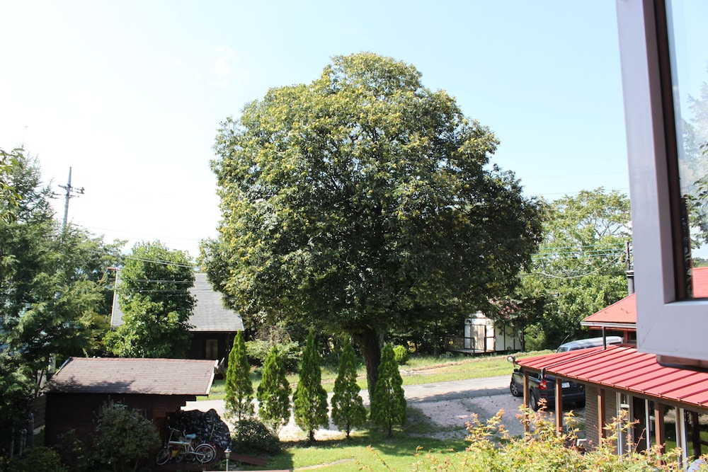 Pension Field 26/32