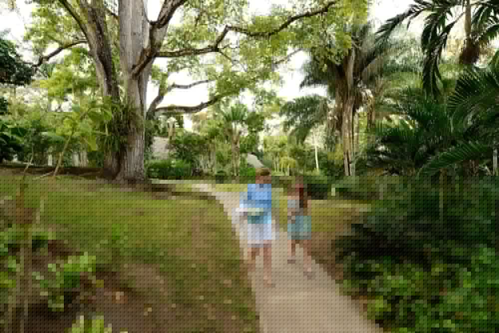 surroundings