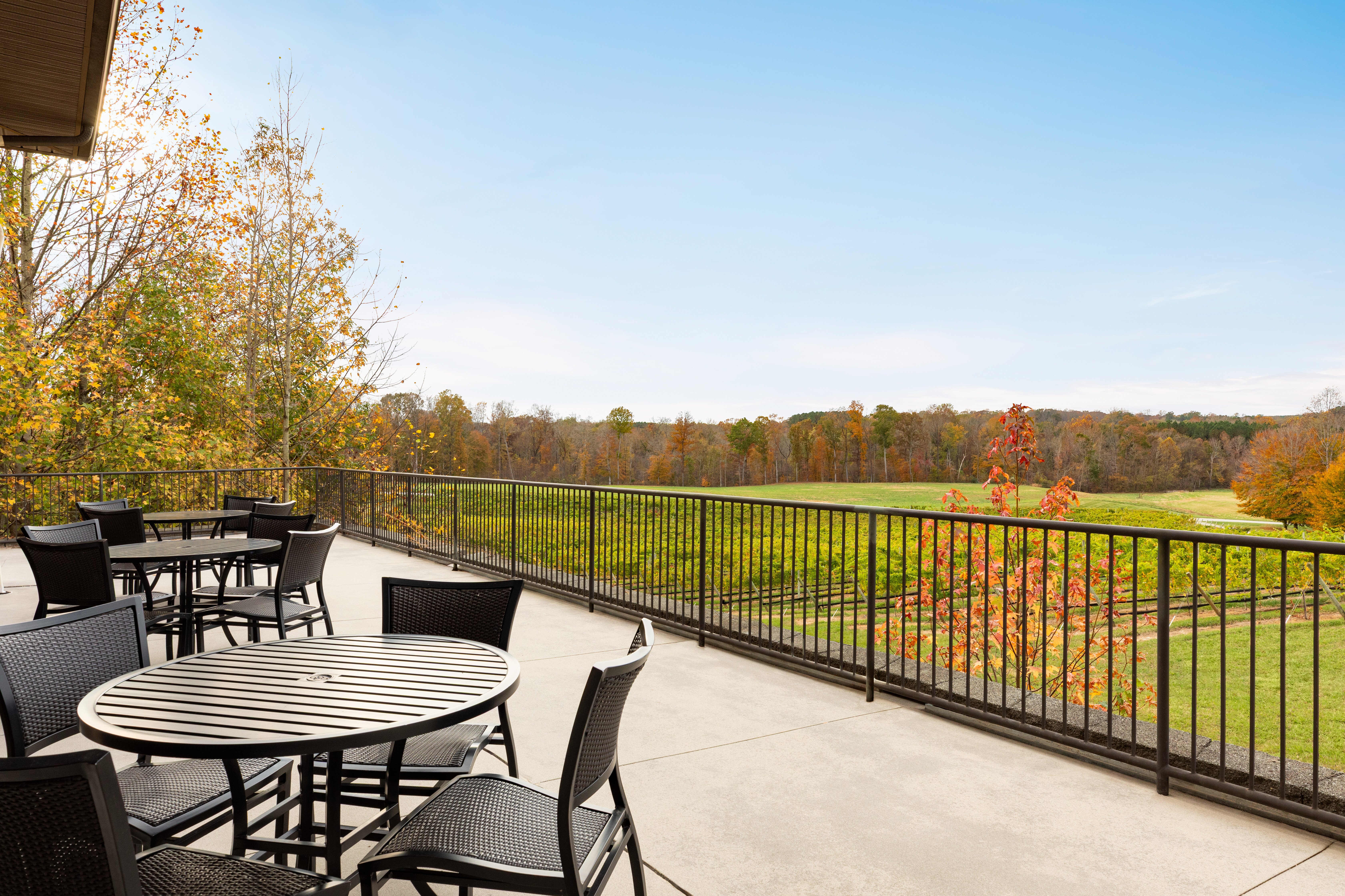 Holiday Inn Express Hotel Suites Lexington Nw the Vineyard 38/50