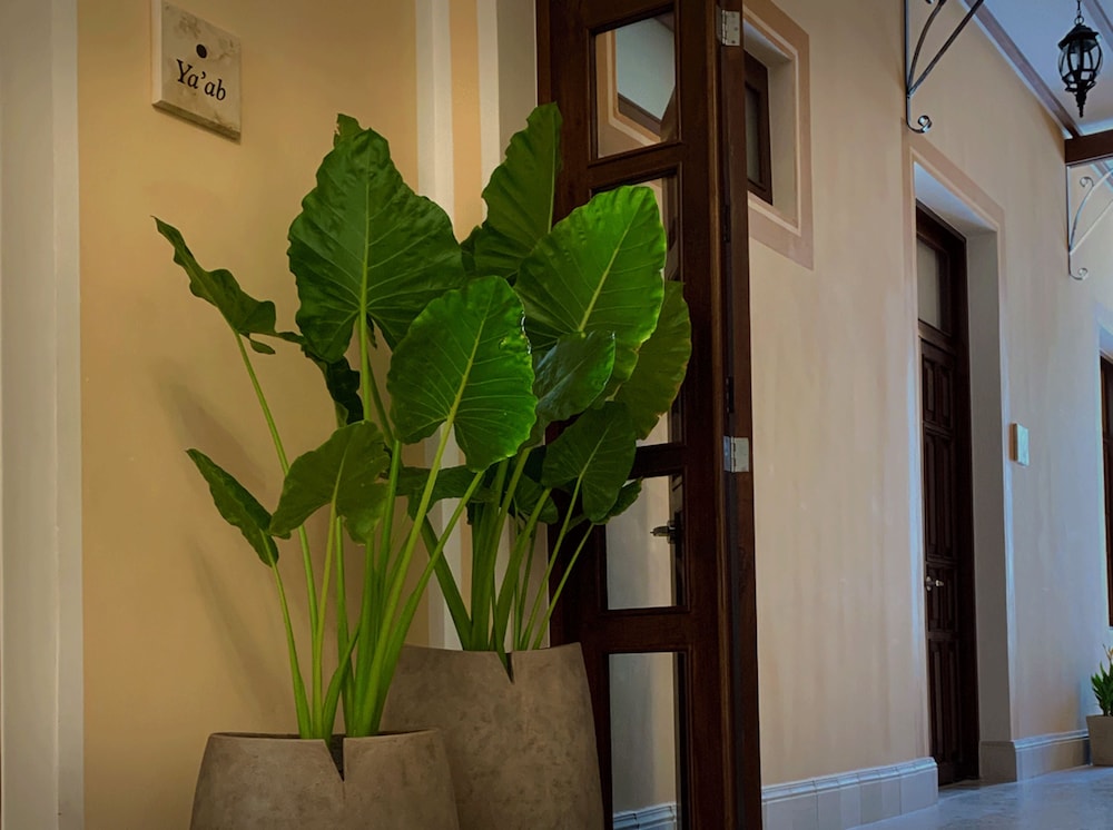 Casa Tavera photo2