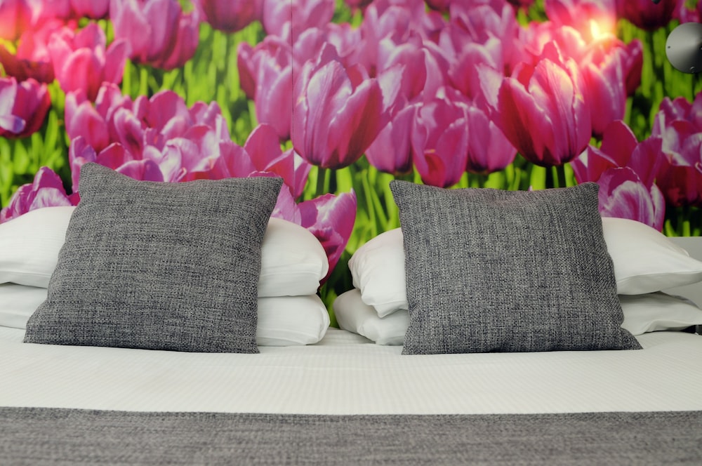 Ibis Styles Amsterdam City 36/66