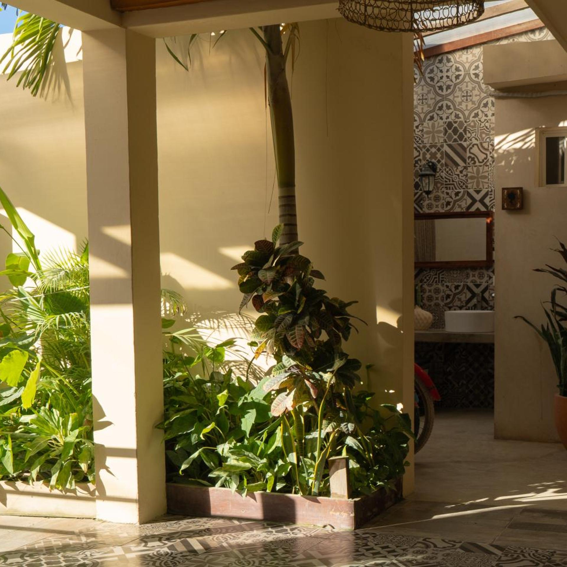 Hotel Siesta Holbox 6/50