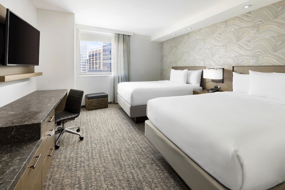 studio, 2 queen beds, kitchenette