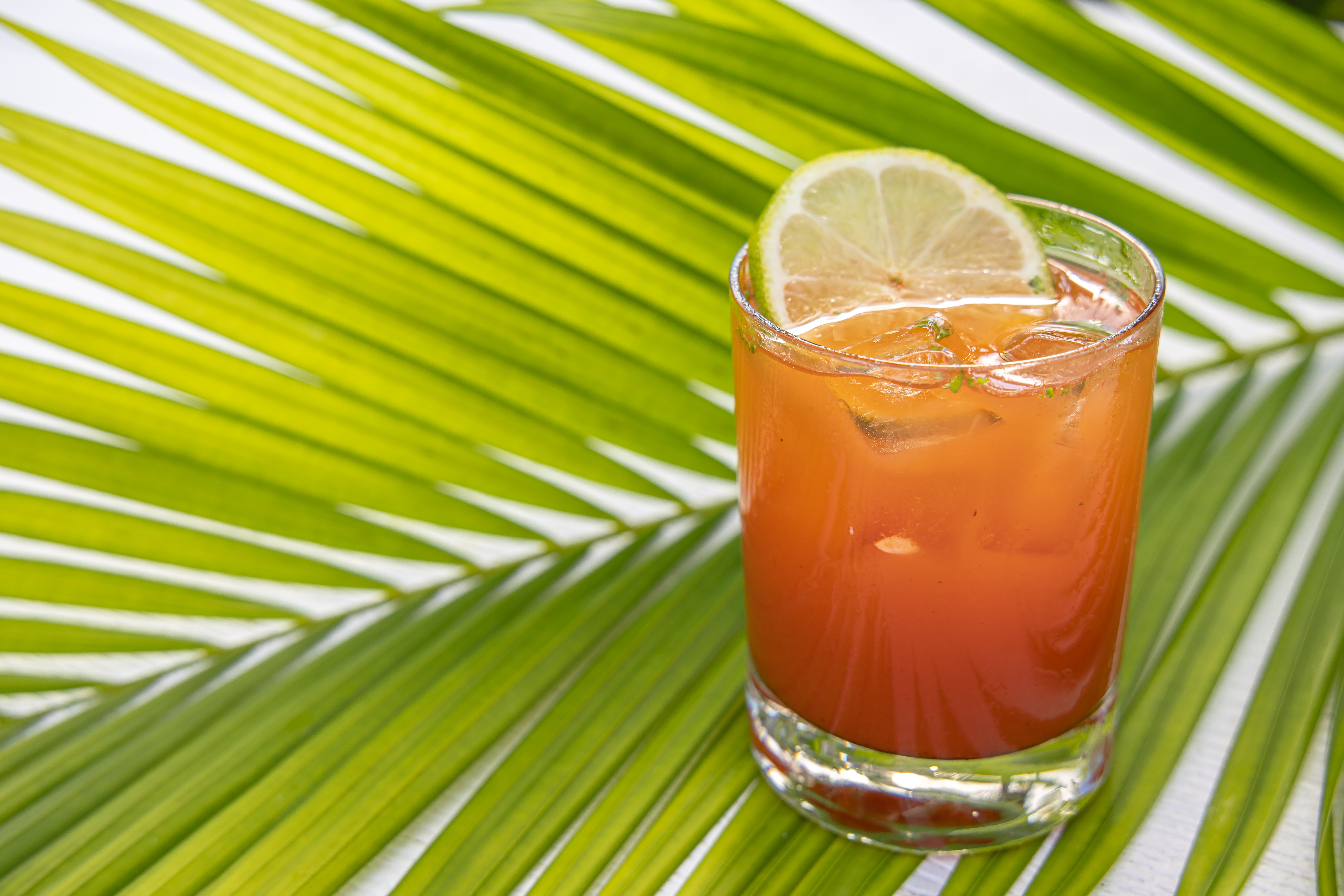 Kimpton Vero Beach Hotel And Spa An Ihg Hotel 23/78