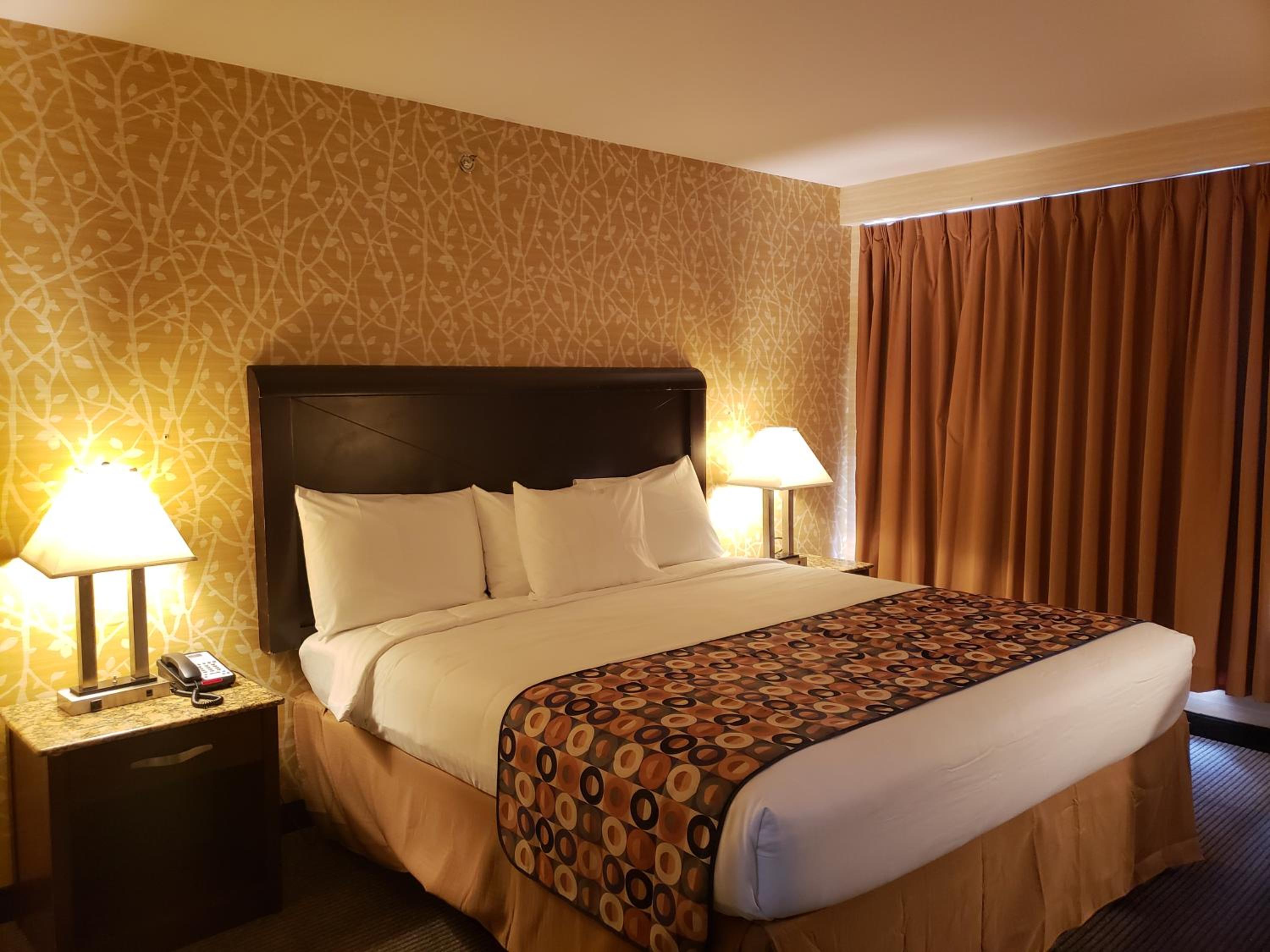 Elmhurst Hotel 22/50