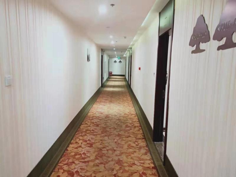 Greentree Inn Anhui Anqing Tongcheng South Shengtang Road Shengtang International Business Hotel 20/38